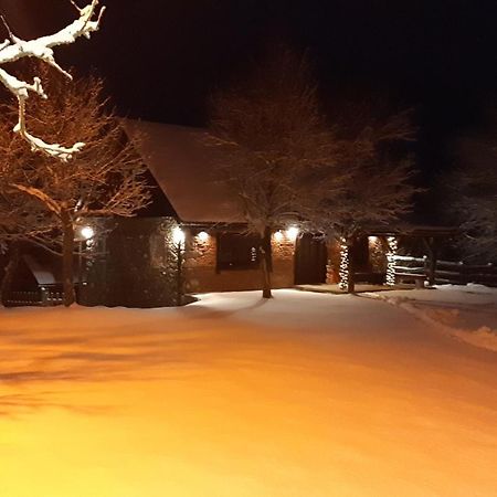 Holiday Home "Sleme" With Jacuzzi, Big Garden And Arbor With Fireplace Skrad Eksteriør bilde