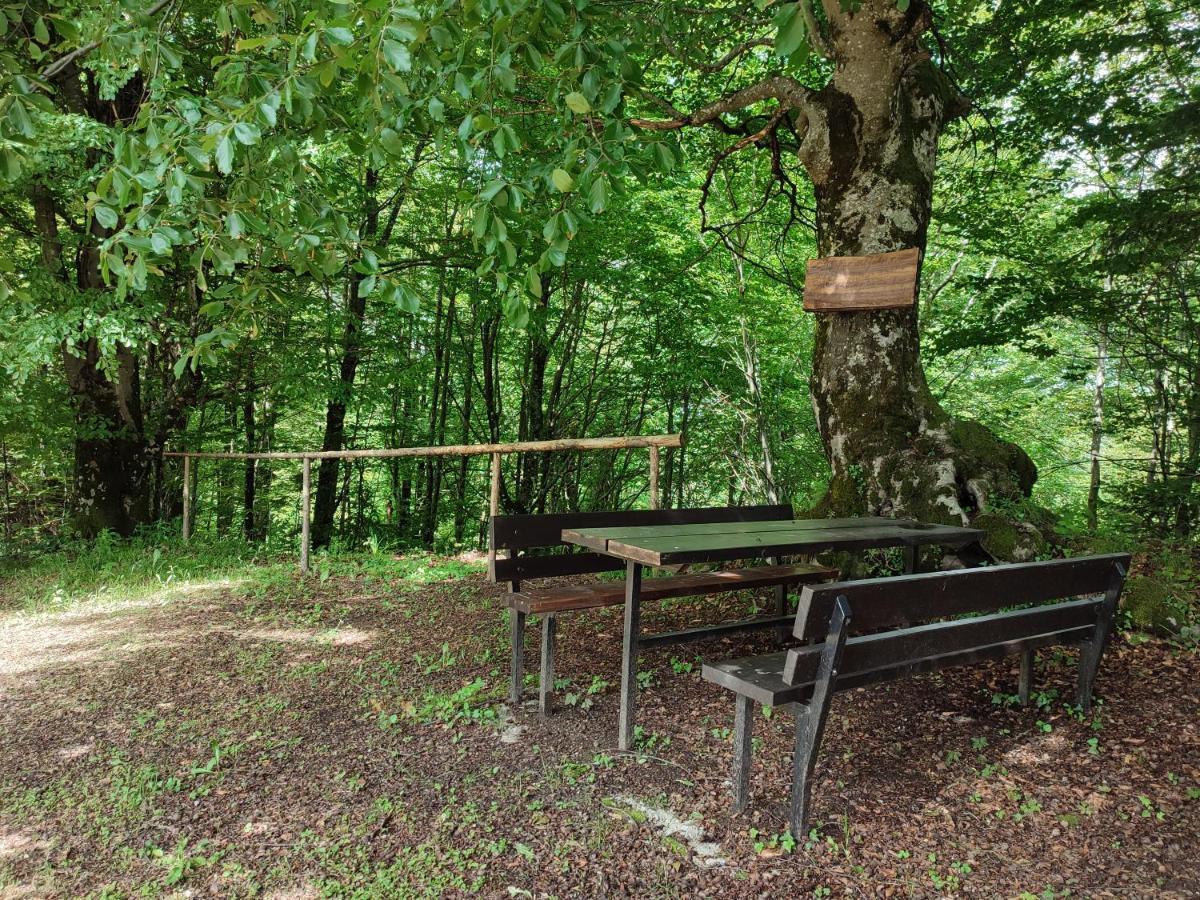 Holiday Home "Sleme" With Jacuzzi, Big Garden And Arbor With Fireplace Skrad Eksteriør bilde