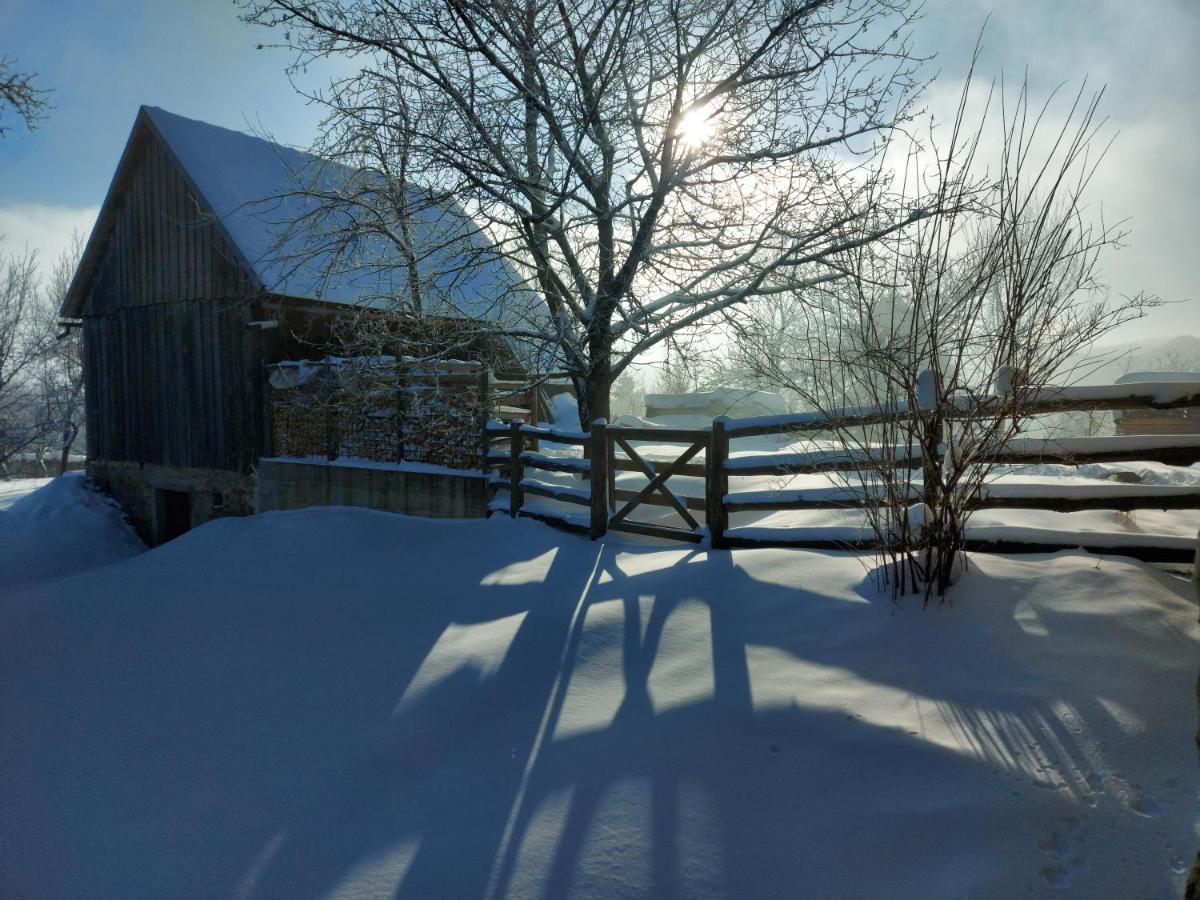 Holiday Home "Sleme" With Jacuzzi, Big Garden And Arbor With Fireplace Skrad Eksteriør bilde