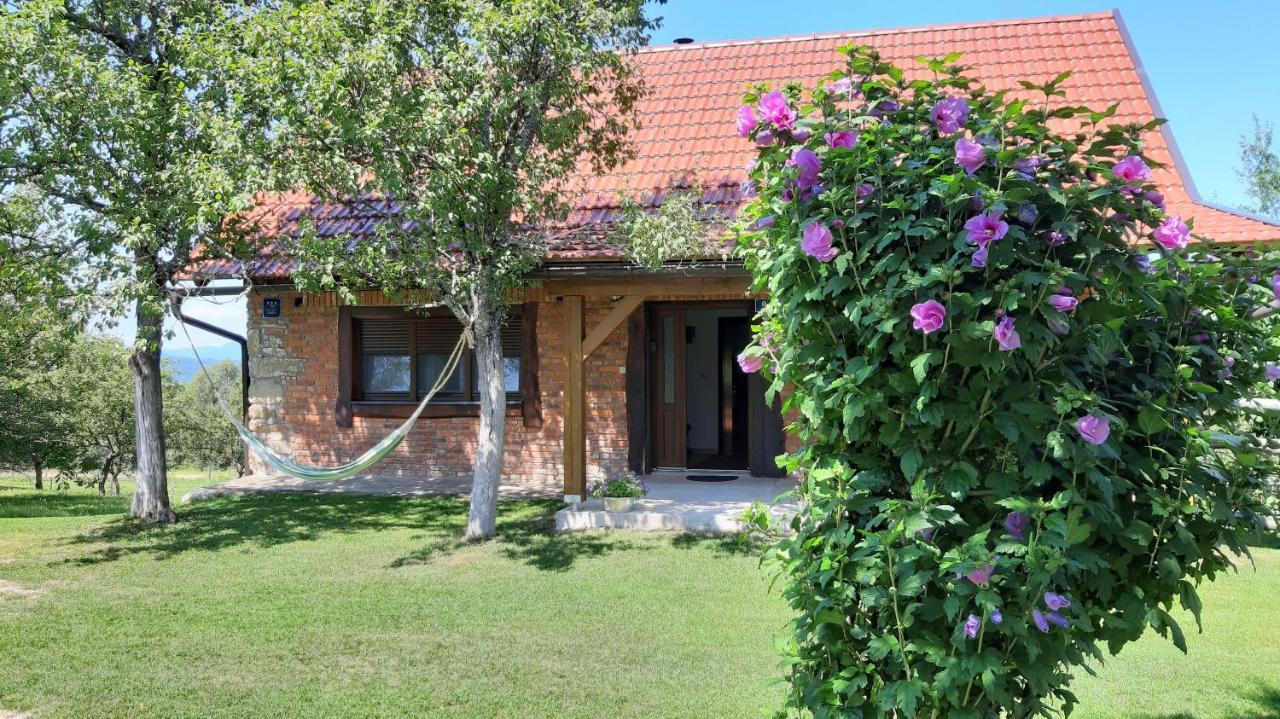 Holiday Home "Sleme" With Jacuzzi, Big Garden And Arbor With Fireplace Skrad Eksteriør bilde