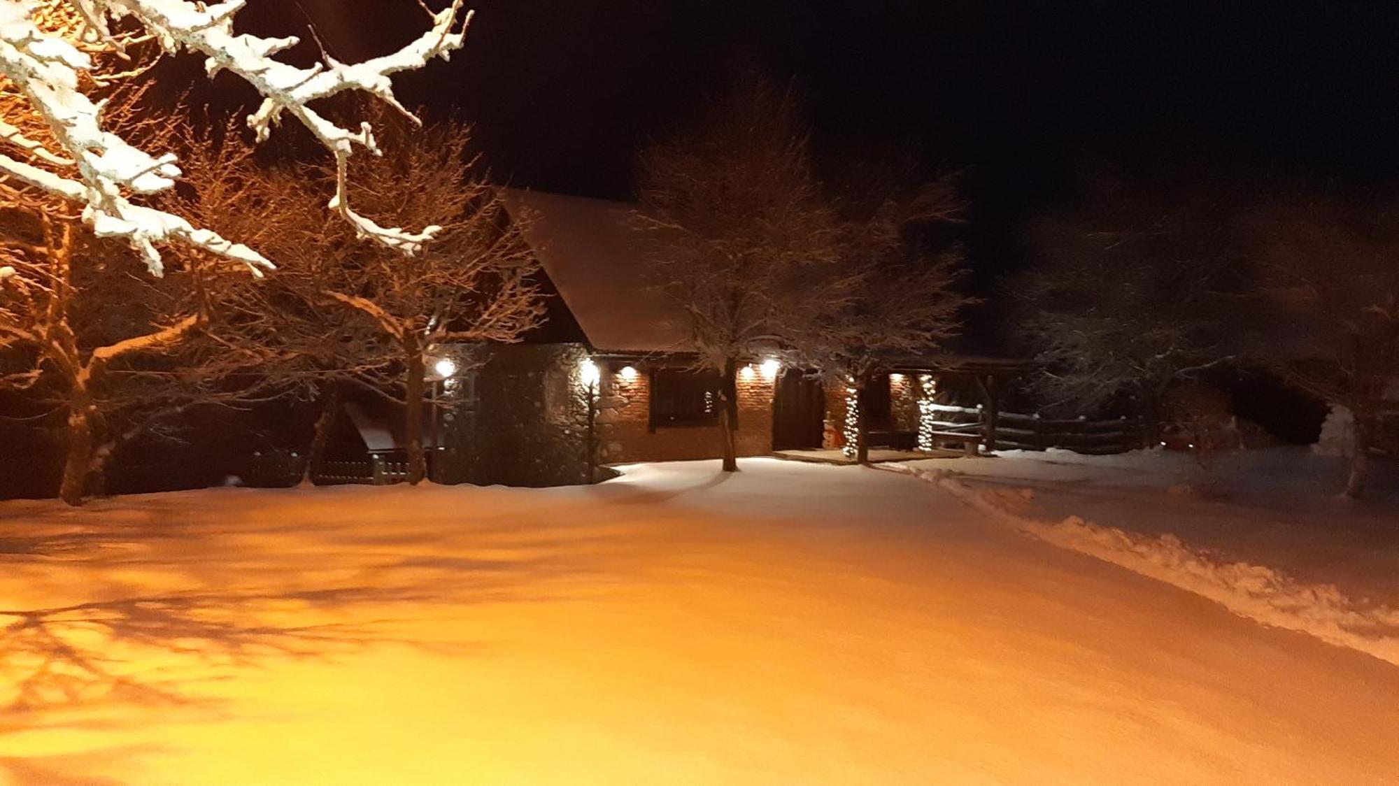Holiday Home "Sleme" With Jacuzzi, Big Garden And Arbor With Fireplace Skrad Eksteriør bilde